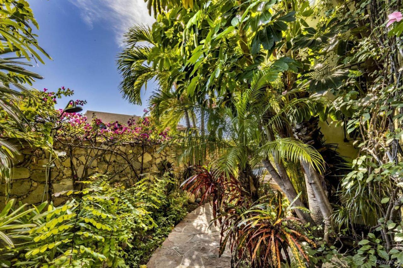 Villa Lucia Arch And Lands End Views - 4200 Sq Ft Luxury Villa Cabo San Lucas Exterior foto